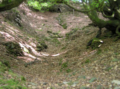 Nant Carn quarry next to Henllys drainage level, Cwmcarn, May 2010